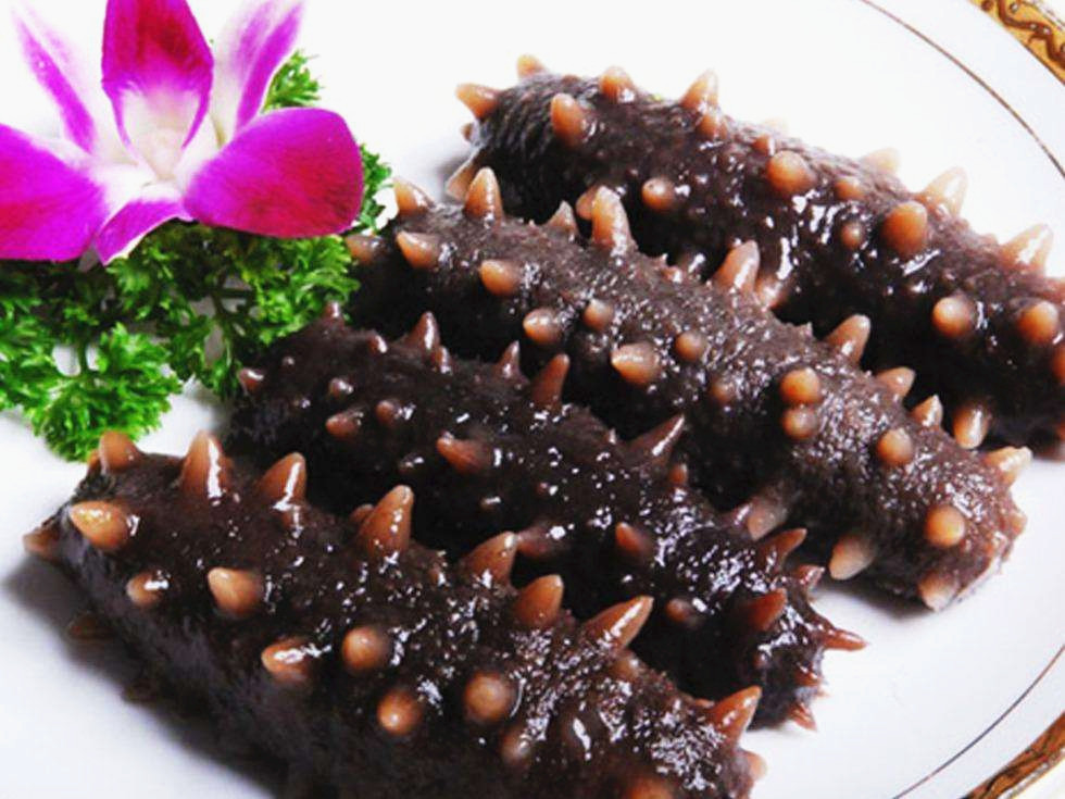 你吃的海参是哪一种？海内海参最全面的养殖方法介绍